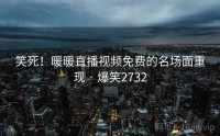笑死！暖暖直播视频免费的名场面重现 · 爆笑2732