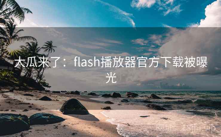 大瓜来了:flash播放器官方下载被曝光 大瓜来了:flash播放器官方下载被曝光